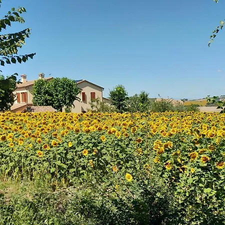 Vallelunga